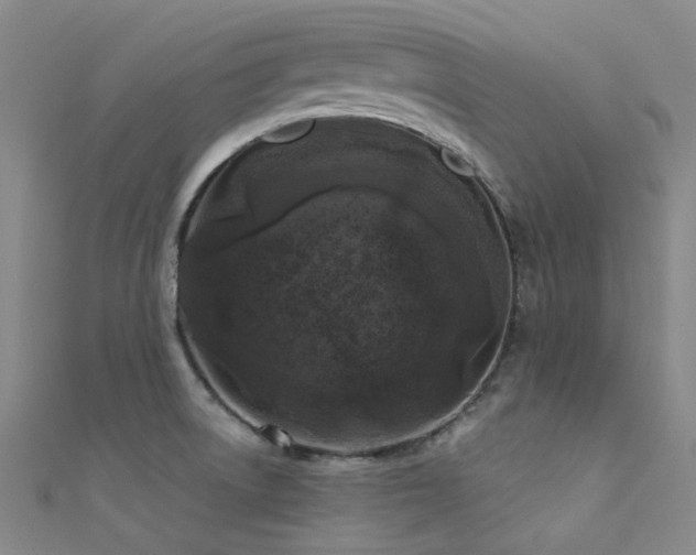 X0000112361522200908131444