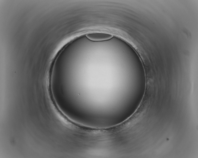 X0000112361523200908131444