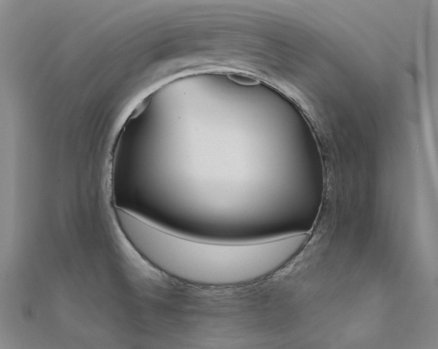 X0000112361524200908131444