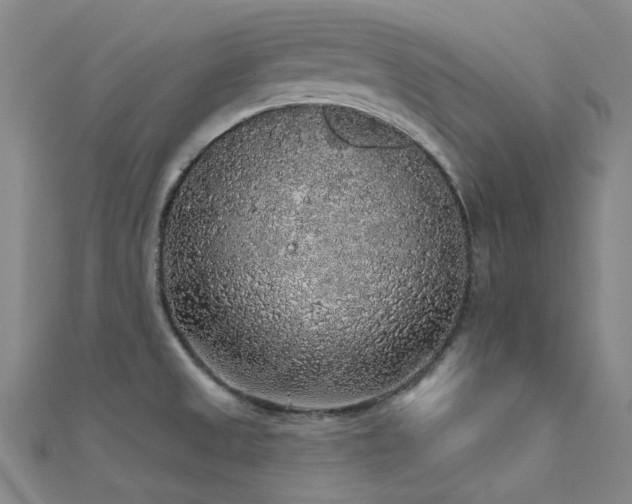 X0000112361525200908131444
