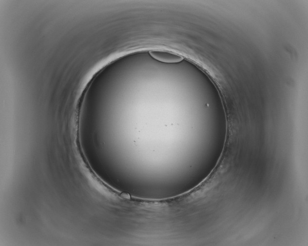 X0000112361526200908131444