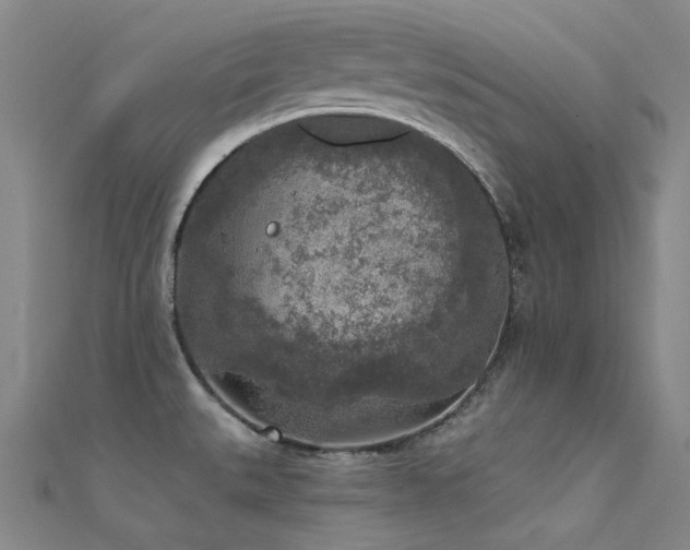 X0000112361527200908131444