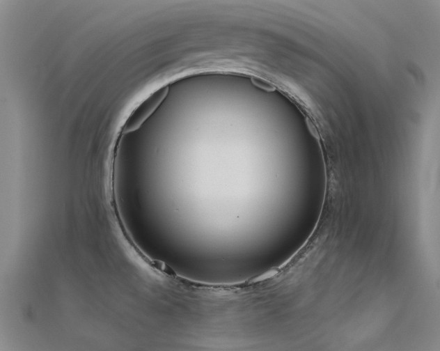 X0000112361528200908131444