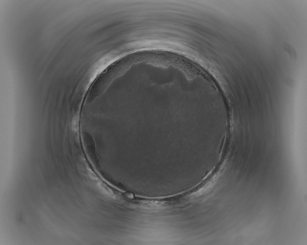 X0000112361529200908131444