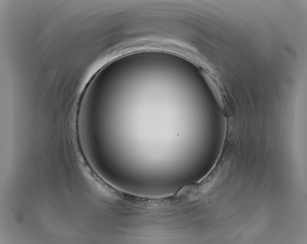 X0000112361530200908131444