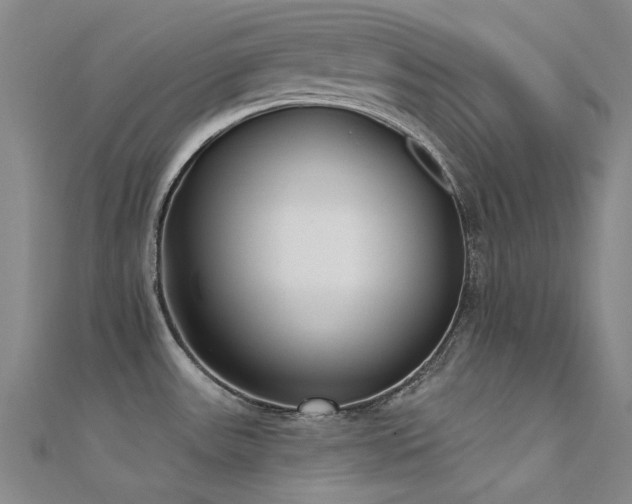 X0000112361531200908131444