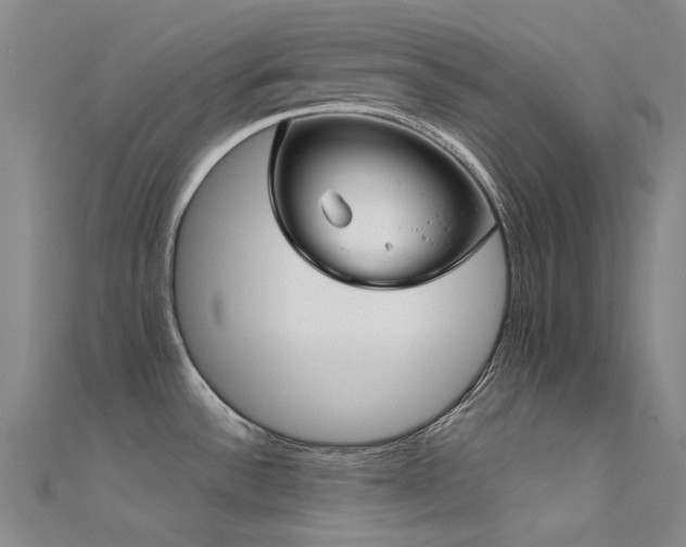 X0000112361532200908131444