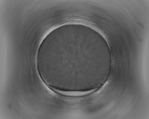 X0000112361533200908131444