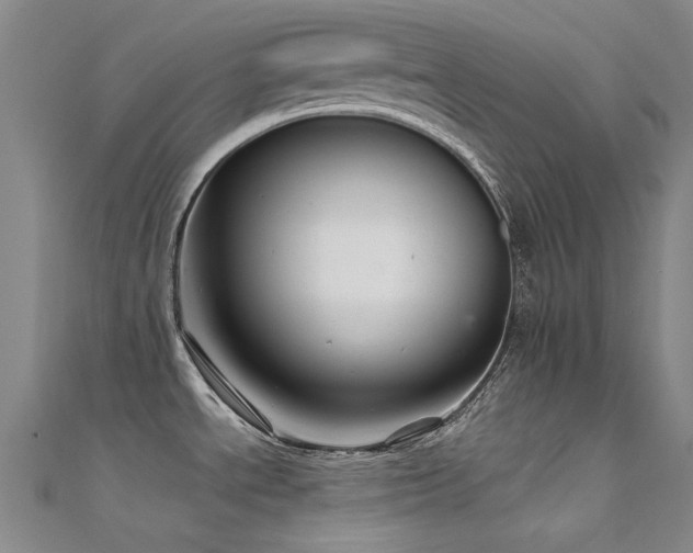 X0000112361534200908131444