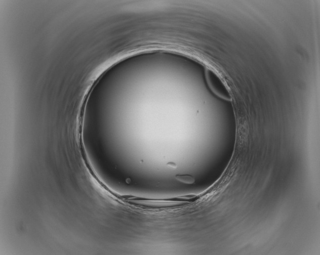 X0000112361535200908131444