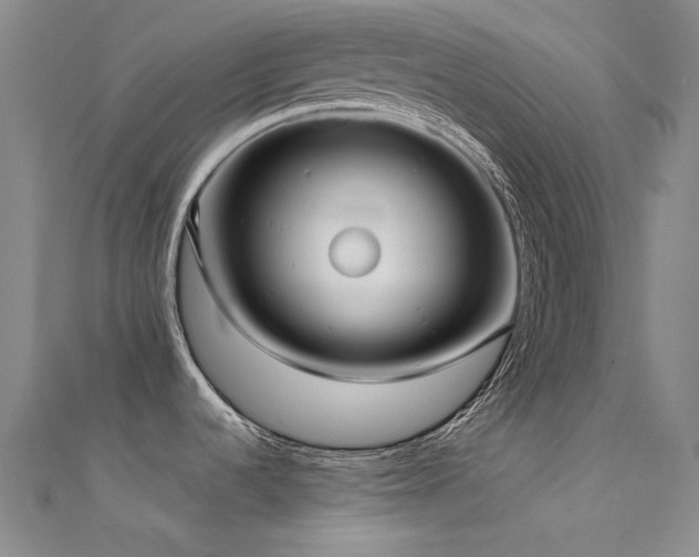 X0000112361536200908131444