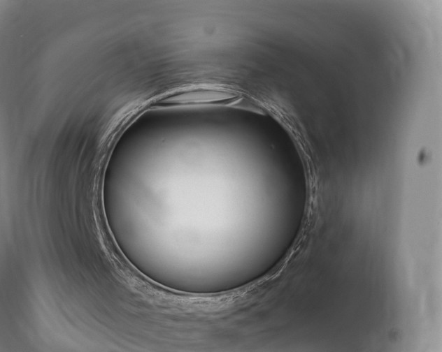 X0000112360001200908201514