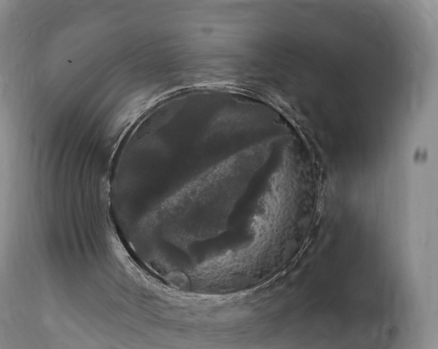 X0000112360002200908201514