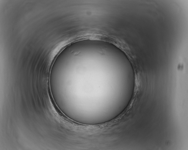 X0000112360003200908201514