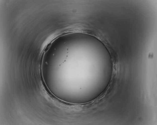 X0000112360004200908201514