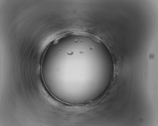 X0000112360005200908201514