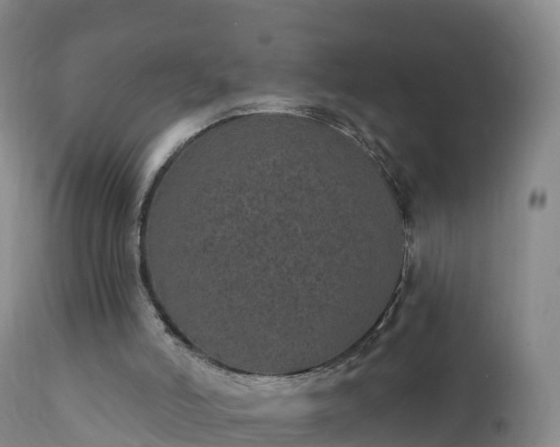 X0000112360006200908201514