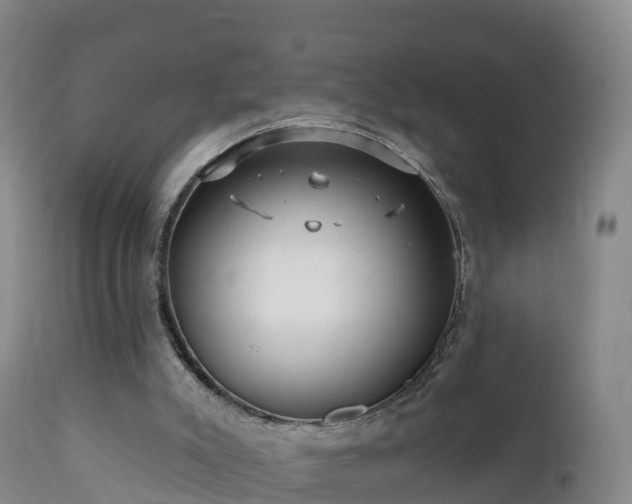 X0000112360007200908201514