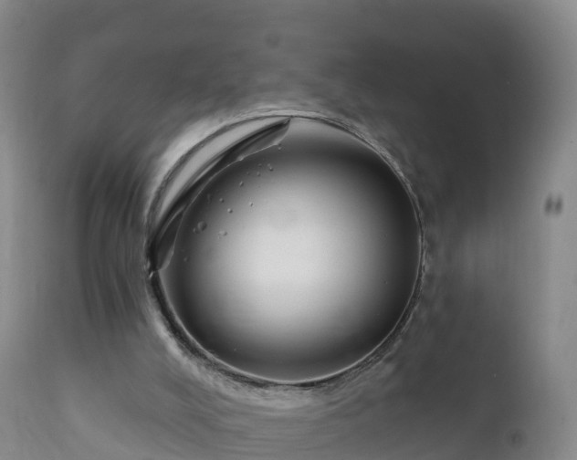 X0000112360008200908201514