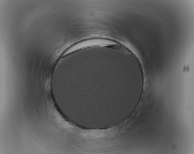 X0000112360009200908201514