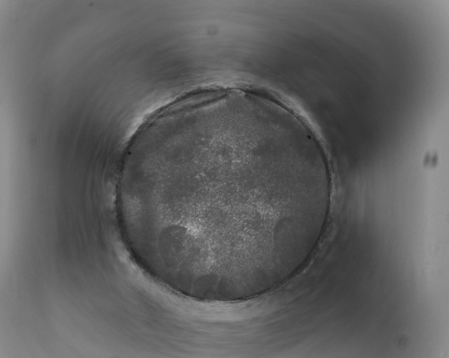 X0000112360010200908201514