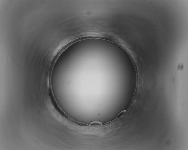 X0000112360011200908201514