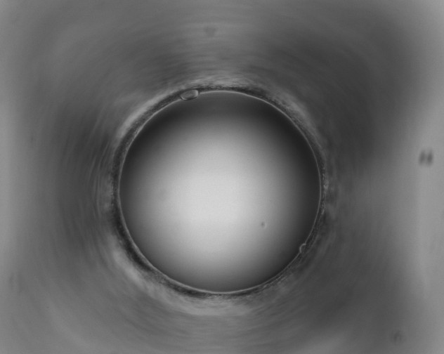 X0000112360012200908201514