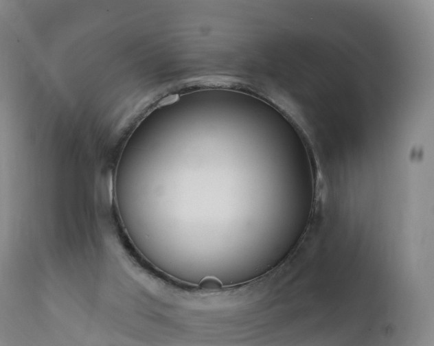 X0000112360013200908201514