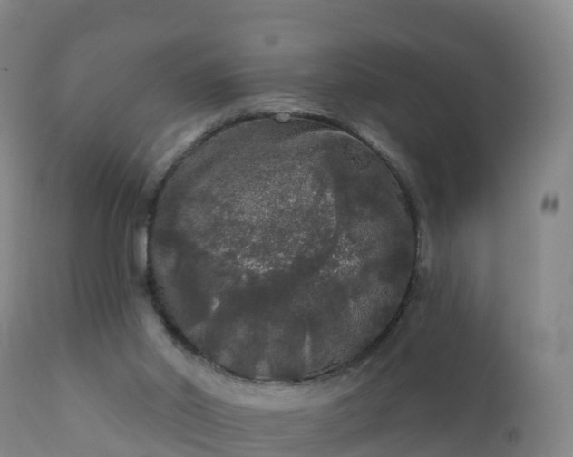 X0000112360014200908201514