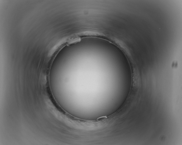 X0000112360015200908201514