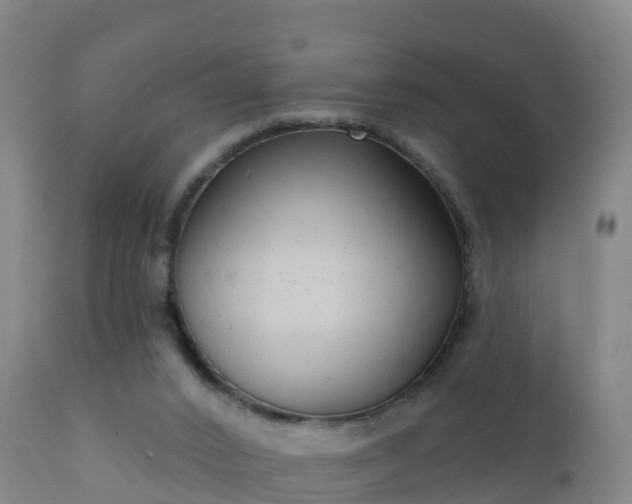 X0000112360016200908201514