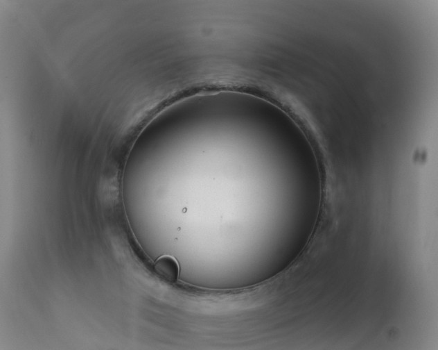 X0000112360017200908201514