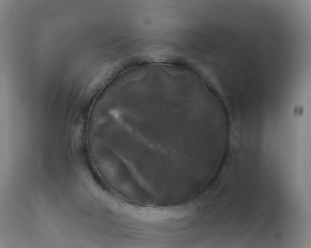 X0000112360018200908201513