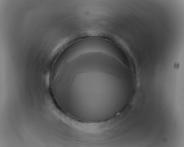 X0000112360019200908201513