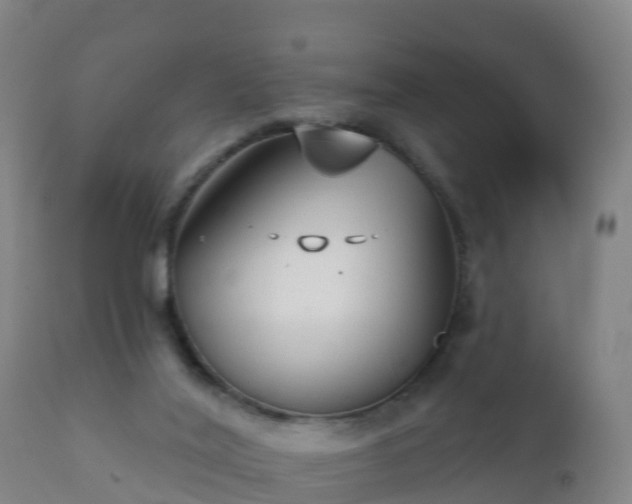 X0000112360020200908201513