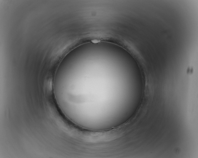 X0000112360021200908201513