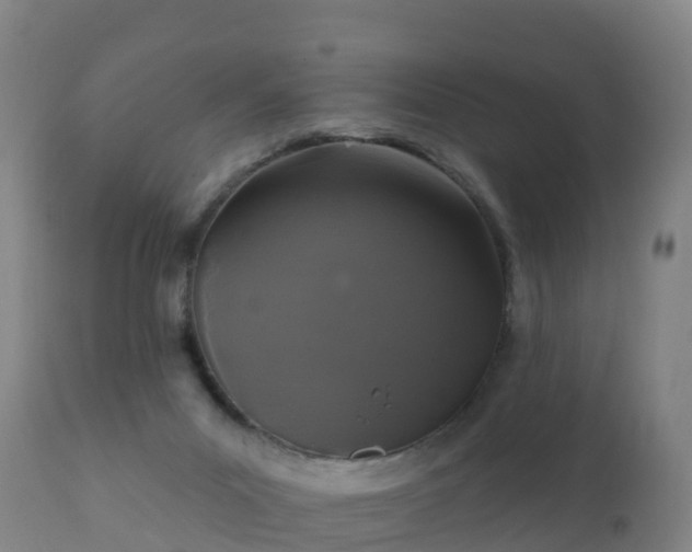 X0000112360023200908201513