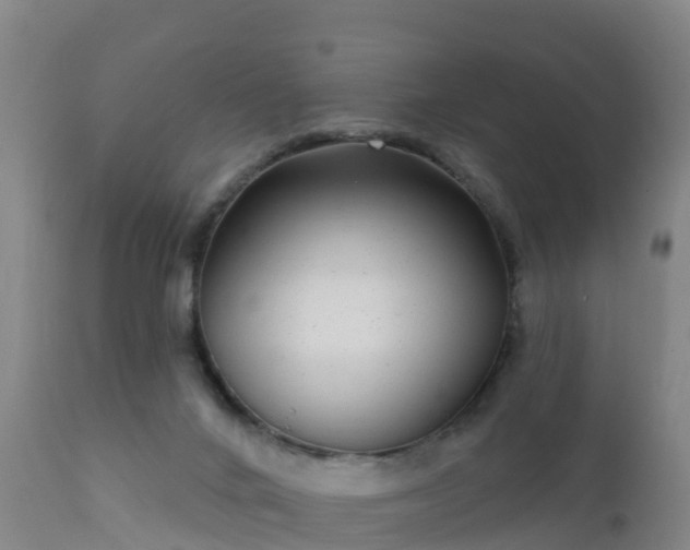 X0000112360024200908201513