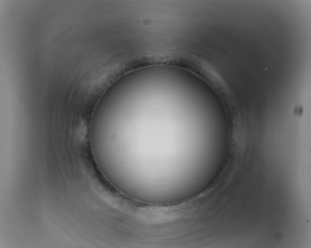 X0000112360025200908201513