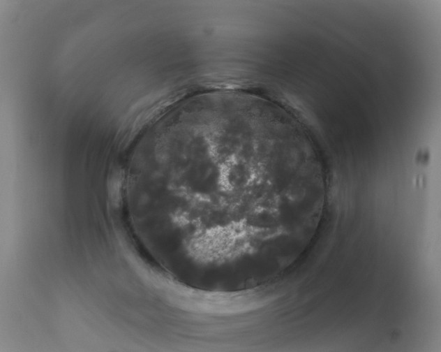 X0000112360026200908201513