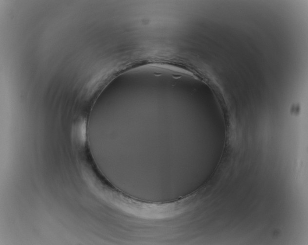 X0000112360027200908201513