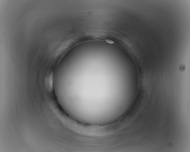 X0000112360028200908201513