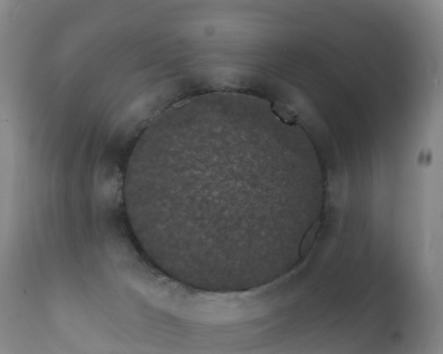 X0000112360029200908201513