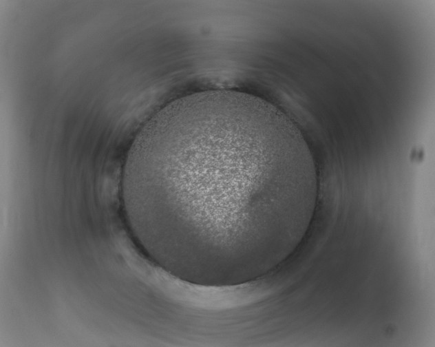 X0000112360030200908201513