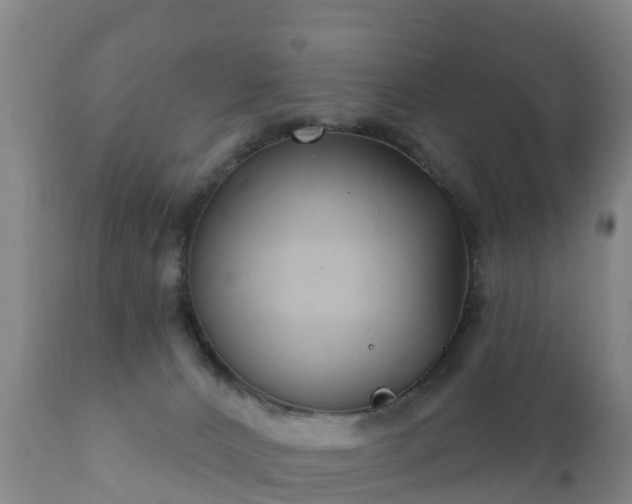 X0000112360032200908201513