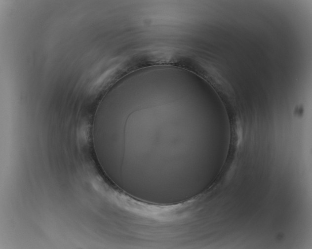 X0000112360035200908201513