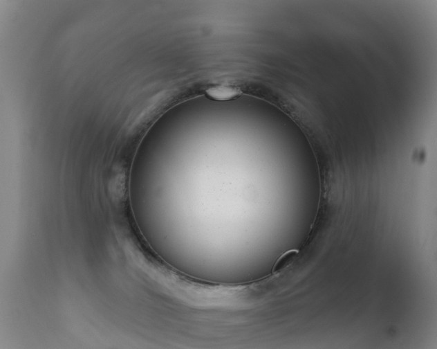 X0000112360036200908201513