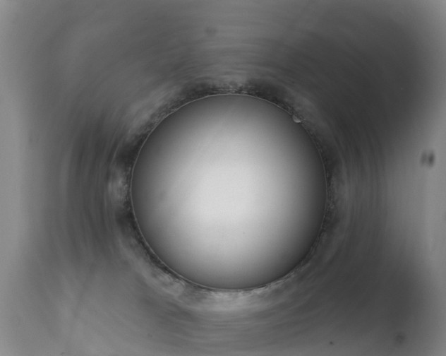 X0000112360037200908201513