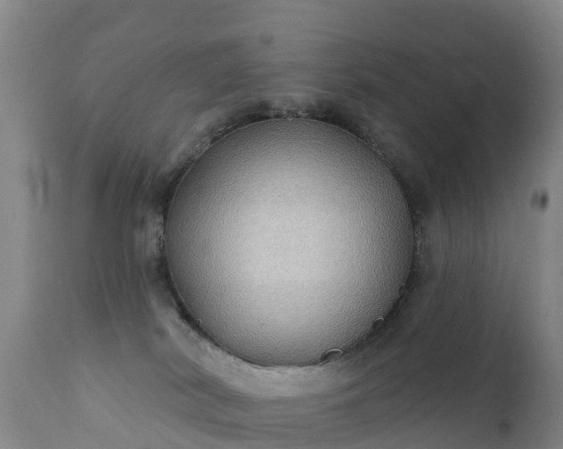 X0000112360038200908201513