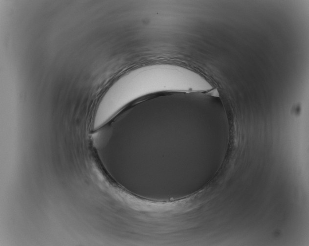 X0000112360039200908201513